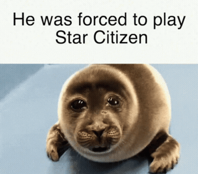 Seal Forced To Play Star Citizen GIF