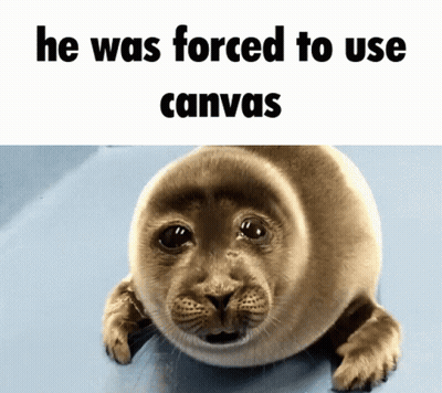 Seal He Was Forced To Use Canvas GIF