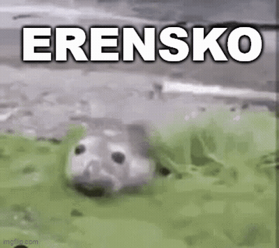 Seal Hiding In Grass Saying Erensko GIF