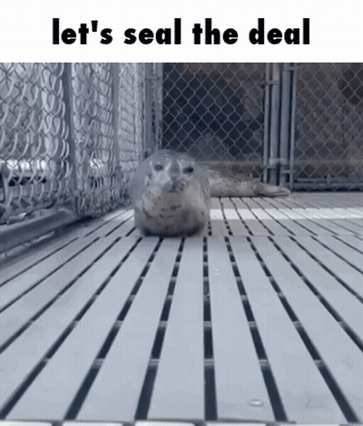 Seal In Cage Saying Let's Seal The Deal GIF