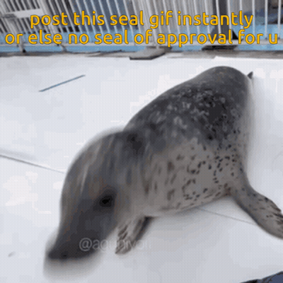 Seal Laying Down Saying Post This Seal GIF Instantly Or Else No Seal Of Approval For Me GIF