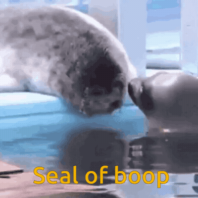 Seal Looking At Another Seal Saying Seal Of Boop GIF