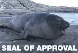Seal Opening Mouth GIF