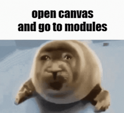 Seal Saying Open Canvas and Go to Modules