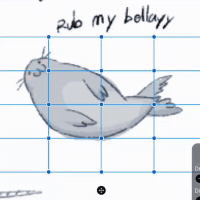 Seal Saying Rub My Bollary GIF