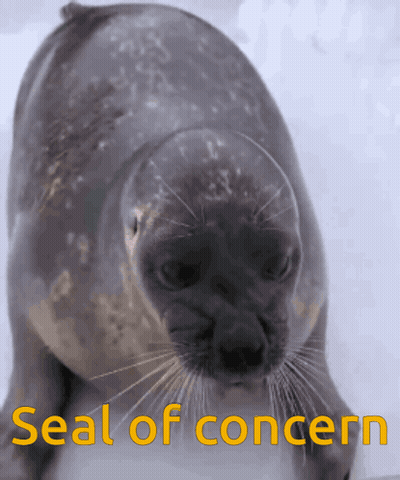 Seal Saying Seal Of Concern GIF