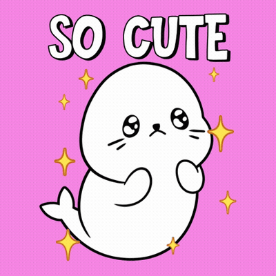 Seal Saying So Cute