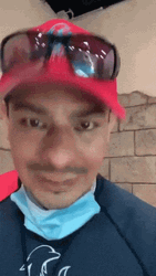 Seal Smile To The Man's Camera GIF