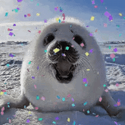 Seal With Confetti Coming Out of Mouth