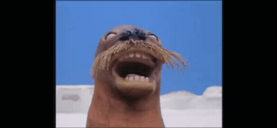 Seal With Long Mustache Making Funny Face GIF