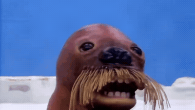 Seal With Mustache And Teeth GIF
