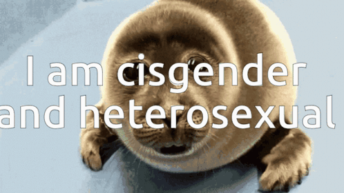 Seal With Words I Am Cisgender And Heterosexual GIF