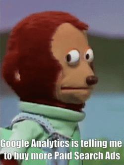 Search Google Analytics Or Type A Url Meme GIF