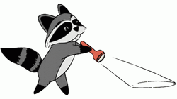 Searching Cartoon Racoon Flash Light GIF