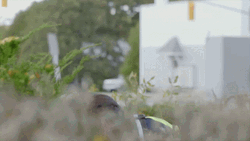 Searching In Bushes With Telescope Iranian Movie GIF