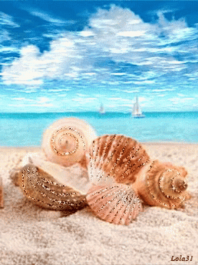 Seashells On A Sandy Beach With The Name Lola31 On The Bottom Right GIF
