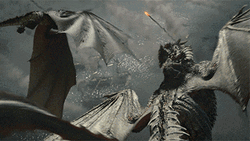 Seasmoke Dragon At The Battle GIF