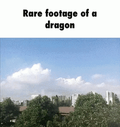 Seasmoke Dragon Rare Footage GIF