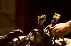 Seasmoke Three Small Dragons GIF