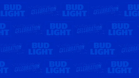 Seattle Seahawks Active Mascot GIF