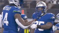 Seattle Seahawks Dk Metcalf Joyous Day GIF