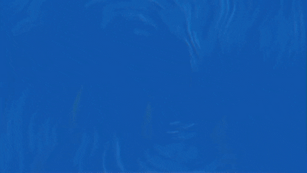 Seattle Seahawks Fans Number GIF