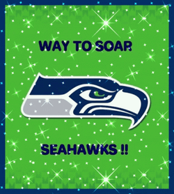 Seattle Seahawks Glittered Way To Soar GIF