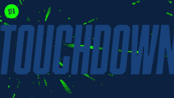 Seattle Seahawks Scored Touchdown GIF