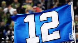 Seattle Seahawks Twelve Flag GIF