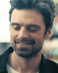 Sebastian Stan Checking Out GIF