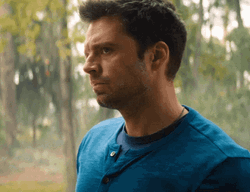 Sebastian Stan Creepy Looks GIF