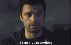Sebastian Stan Didn't Do Anything GIF