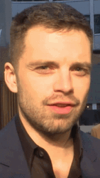 Sebastian Stan Flirty Wink GIF