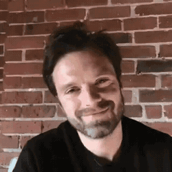 Sebastian Stan Funny Eyebrows GIF