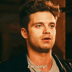 Sebastian Stan I'm Sorry GIF