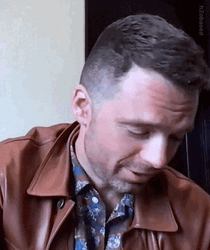 Sebastian Stan Radiant Smile GIF