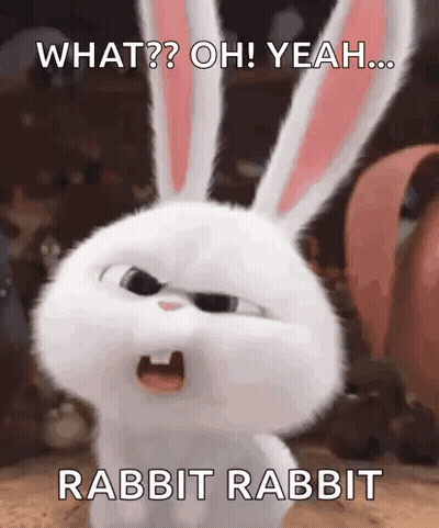 Secret Life Of Pets Rabbit Saying What GIF