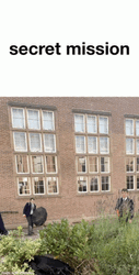 Secret Mission English Student Ducking GIF