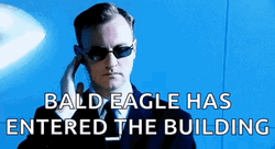 Secret Service Bald Eagle Has Entered The Building GIF