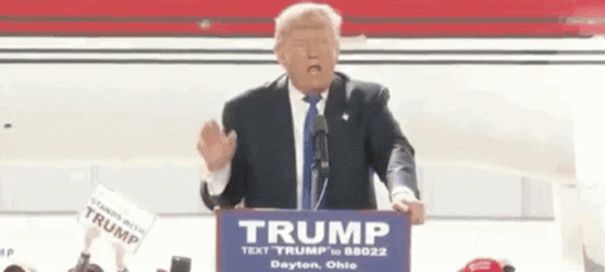 Secret Service Cover Donald Trump GIF