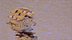 Security Breach Trippy Sundrop GIF