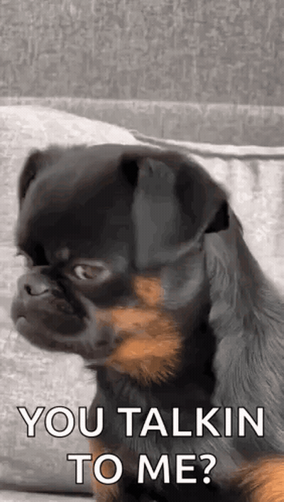 Security Guard Saying Yes Sir GIF