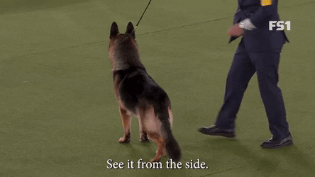 See Hello From The Other Side And It's Beautiful GIF