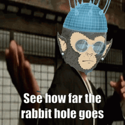 See How Far The Rabbit Hole Goes GIF