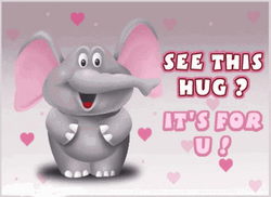 See This Hug Elephant