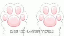 See You Later Tiger Kitty Paws GIF