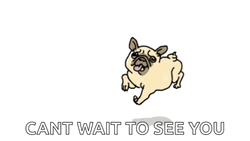 See You Tomorrow Can't Wait GIF