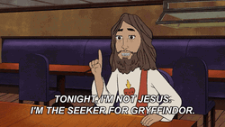 Seeker For Gryffindor GIF