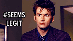 Seems Legit Eyebrow Raise GIF