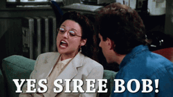 Seinfeld Yes Siree Elaine